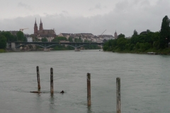 Basel ist mit rund 175'000 Einwohnern die grösste schweizer Stadt am Rhein.